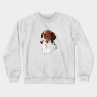 Zoe Smooth Crewneck Sweatshirt